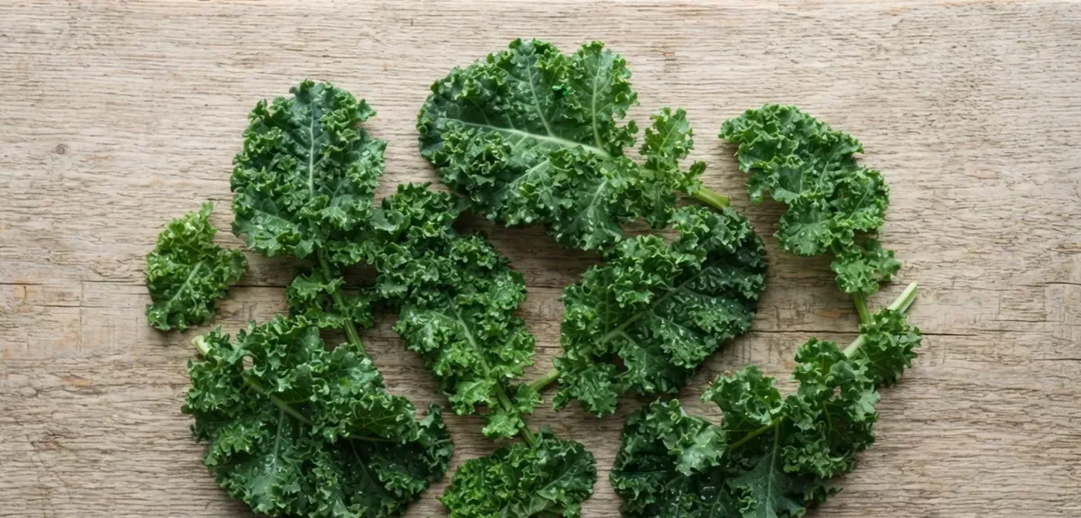 Fresh curly kale leaves in a bowl on a wooden counter