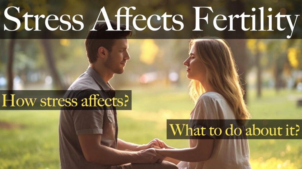 stress affects fertility